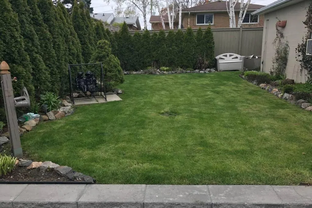 Private Bsmt With Sep. Entrance And Free Parking Apartment Toronto 0*,  Canada